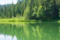 The calm waters of the lake in the middle of the spring forest Royalty Free Stock Photo