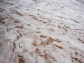 Calm waves on beach - Calm sea waves at morning time on a beach Royalty Free Stock Photo