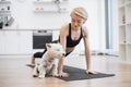 Westie falling asleep while owner practising yoga at home