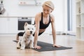 Westie falling asleep while owner practising yoga at home