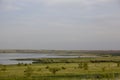 The calm wide river carries its waters under the morning sky