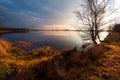 Calm wild pond in Dwingelderveld