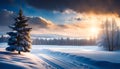Calm winter landscape outside the city with snow and a beautiful spreading tree at sunset,