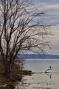 Calm winter serenity of Sequoyah National Wildlife Refuge in Oklahoma Royalty Free Stock Photo