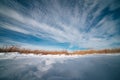 Prairie grasses in winter against a blue sky