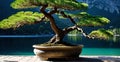 Calm Zen lake and bonzai trees Royalty Free Stock Photo