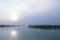 Calming Foggy morning sunrise at a lake with grass in the water Royalty Free Stock Photo