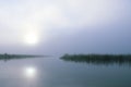 Calming Foggy morning sunrise at a lake with grass in the water