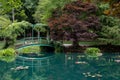 Calming landscape of a green Japanese Gibbs garden with a small bridge over the lake Royalty Free Stock Photo