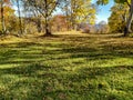 Calming meadow green grass for relaxing meditation in the nature surrounded by colorful trees in a distant natural environment Royalty Free Stock Photo