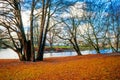 Calming nature and beautiful winter scenes around the lake in Malmo