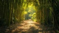 A Calming Path Through a Bamboo Forest Royalty Free Stock Photo