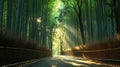 A Calming Path Through a Bamboo Forest Royalty Free Stock Photo