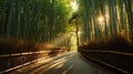 A Calming Path Through a Bamboo Forest Royalty Free Stock Photo