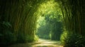A Calming Path Through a Bamboo Forest Royalty Free Stock Photo