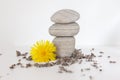 Calming Stones of Dandelion and Lavender