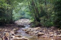 Calmly flowing Mountain river