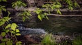 Calmly flowing river captured from behind thin tree branches