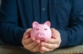 A calmly sleeping piggy bank in the hands. Trust fund.