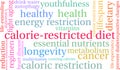Calorie-Restricted Diet Word Cloud Royalty Free Stock Photo