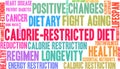 Calorie-Restricted Diet Word Cloud Royalty Free Stock Photo