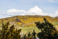 Calton Hill in Edinburgh, Scotland,UK Royalty Free Stock Photo