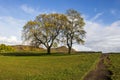 Calton Hill in Edinburgh, Scotland,UK Royalty Free Stock Photo