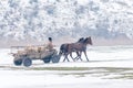 Calugareni, Romania - January 17: Calugareni forest on January 1