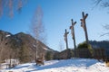 calvary hill with three crosses, winter landscape Birkenstein, Fischbachau Royalty Free Stock Photo