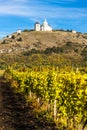 Calvary of Mikulov with autumnal vineyard, Czech Republic Royalty Free Stock Photo