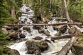 Calypso Cascades in Spring Flood