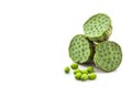 Calyx, Lotus seeds green.