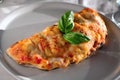 Calzone pizza