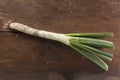 CalÃÂ§ot on a wooden table