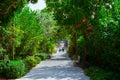 Grand Cayman-Camana Bay Path 3