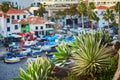 Camara de Lobos fishing village with palm tree in the foreground. Madeira island, Portugal Royalty Free Stock Photo