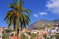 Camara de Lobos, Madeira, Portugal Royalty Free Stock Photo