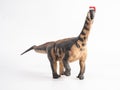 Camarasaurus Dinosaur with Christmas hat on white background Royalty Free Stock Photo
