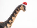 Camarasaurus Dinosaur with Christmas hat on white background Royalty Free Stock Photo