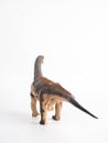Camarasaurus Dinosaur on white background Royalty Free Stock Photo