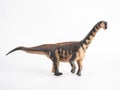Camarasaurus Dinosaur on white background Royalty Free Stock Photo