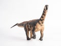 Camarasaurus Dinosaur on white background Royalty Free Stock Photo