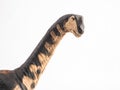 Camarasaurus Dinosaur on white background Royalty Free Stock Photo
