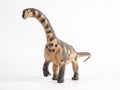 Camarasaurus Dinosaur on white background Royalty Free Stock Photo