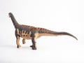 Camarasaurus Dinosaur on white background Royalty Free Stock Photo