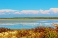 The Camargue Delta, France. Royalty Free Stock Photo