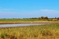 The Camargue Delta, France. Royalty Free Stock Photo