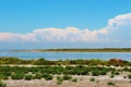 The Camargue Delta, France. Royalty Free Stock Photo