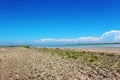 The Camargue Delta, France Royalty Free Stock Photo