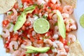 Camaron shrimp ceviche raw seafood salad Mexico Royalty Free Stock Photo